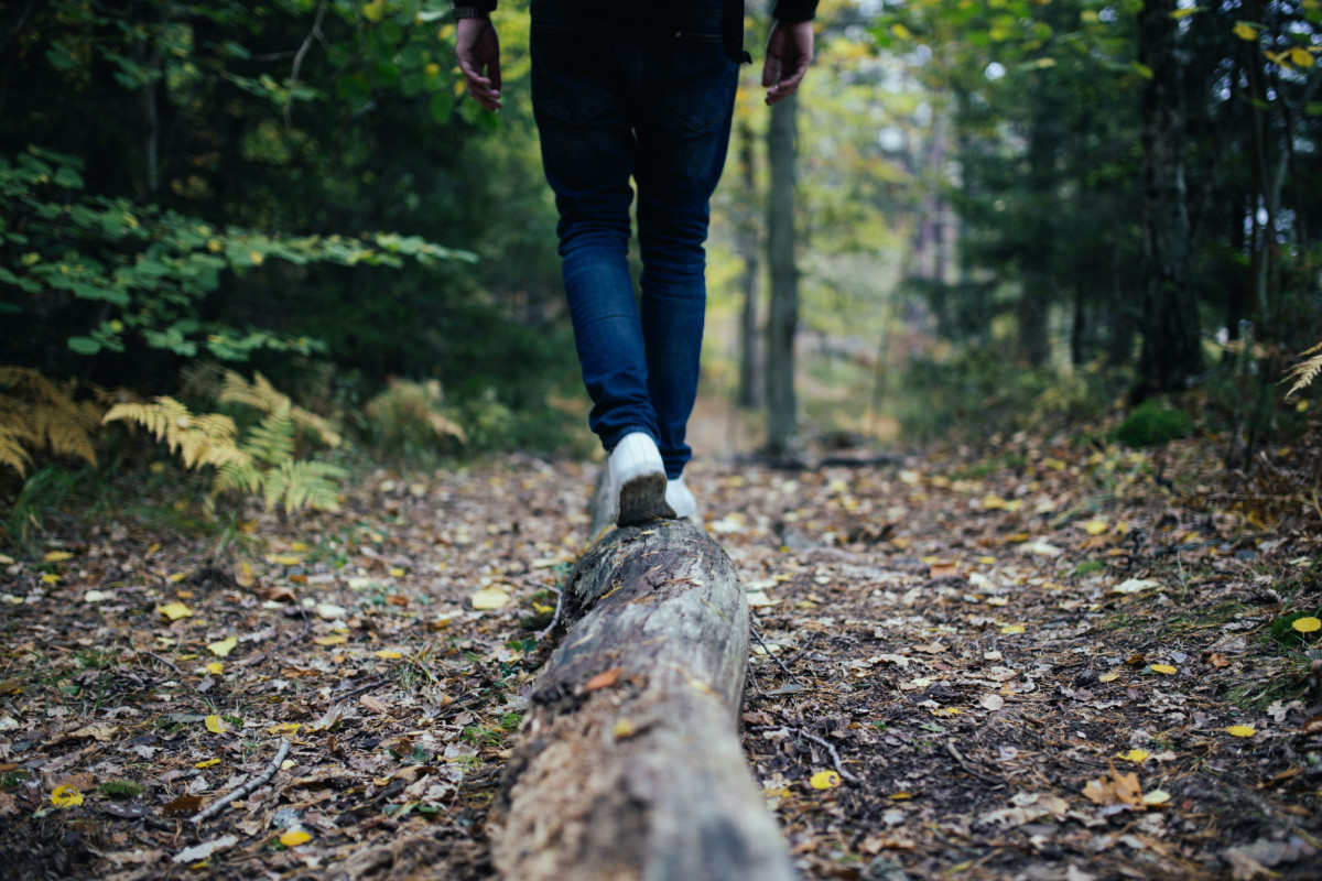 Jon flobrant r19nfv S3w Y unsplash