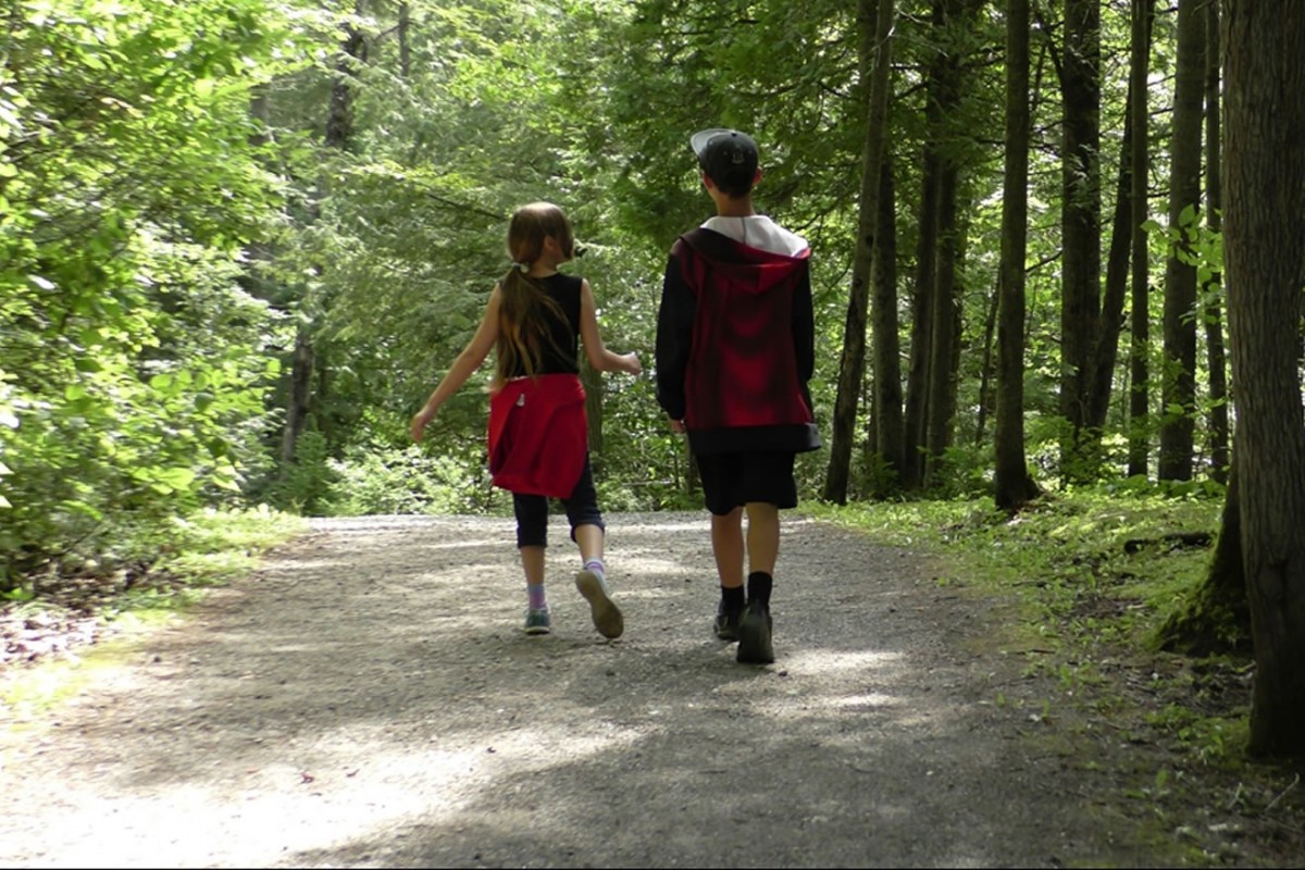 Ma fille et mon fils qui se promènent dans une forêt