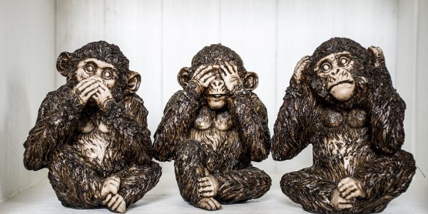 Three monkeys: One cannot speak, one cannot see and one cannot hear