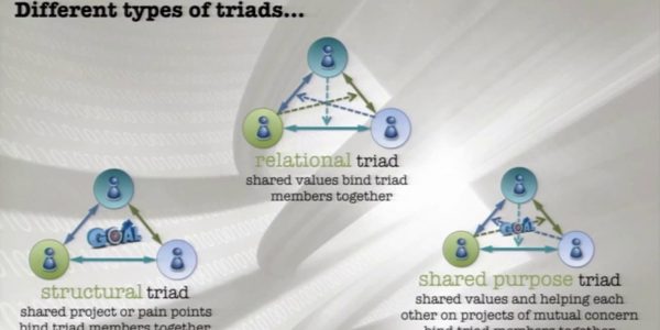 Tribal leadership triads