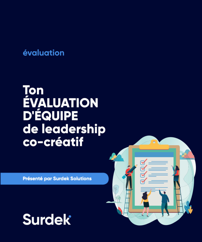 Team assessment cover fr